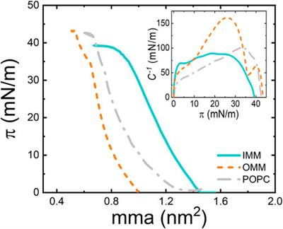 Mitochondrial membrane models built from native lipid extracts: Interfacial and transport properties